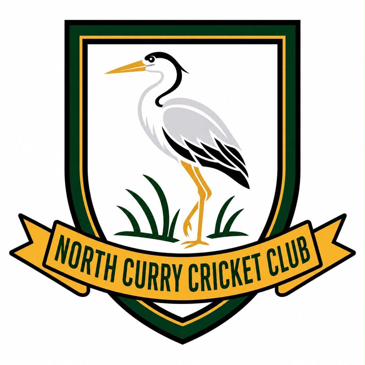 North Curry CC