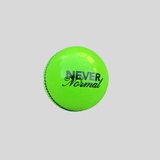Never Normal Cricket Ball Millichamp and Hall