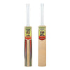 F200 (PLAYER) Cricket Bats Millichamp and Hall